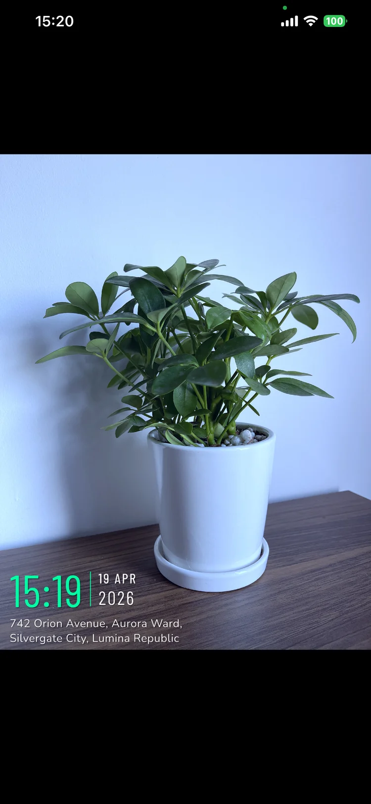 Captured photo with timestamp and GPS watermark burned in